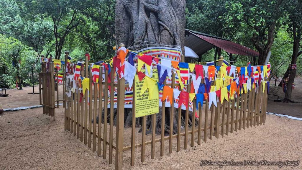 Kabiliththa Maha Kebiliththa Devalaya in Yala | AmazingLanka.com