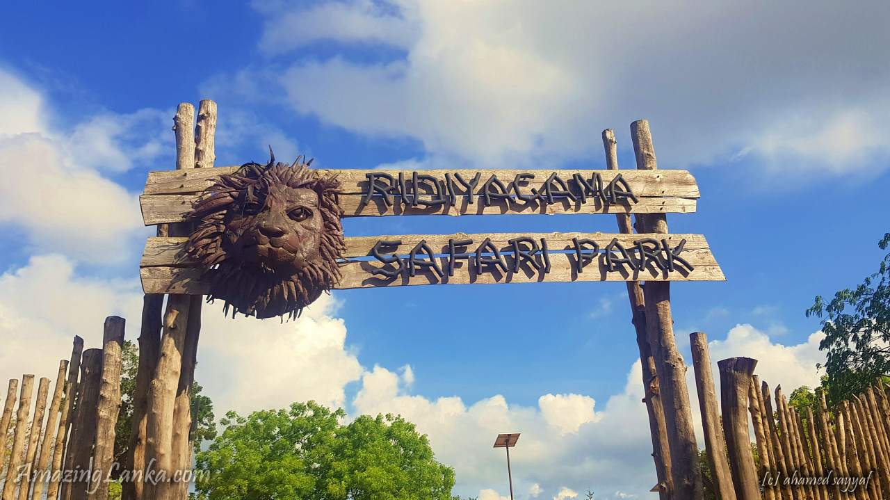 ridiyagama safari park reviews