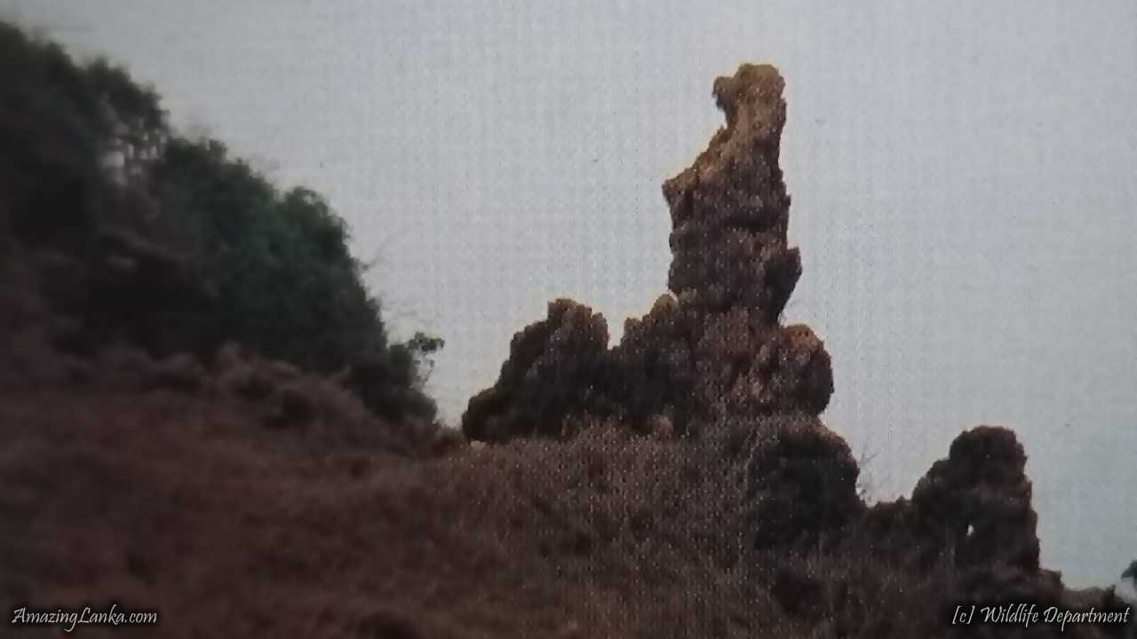 Prehistoric Minihagalkanda in Yala