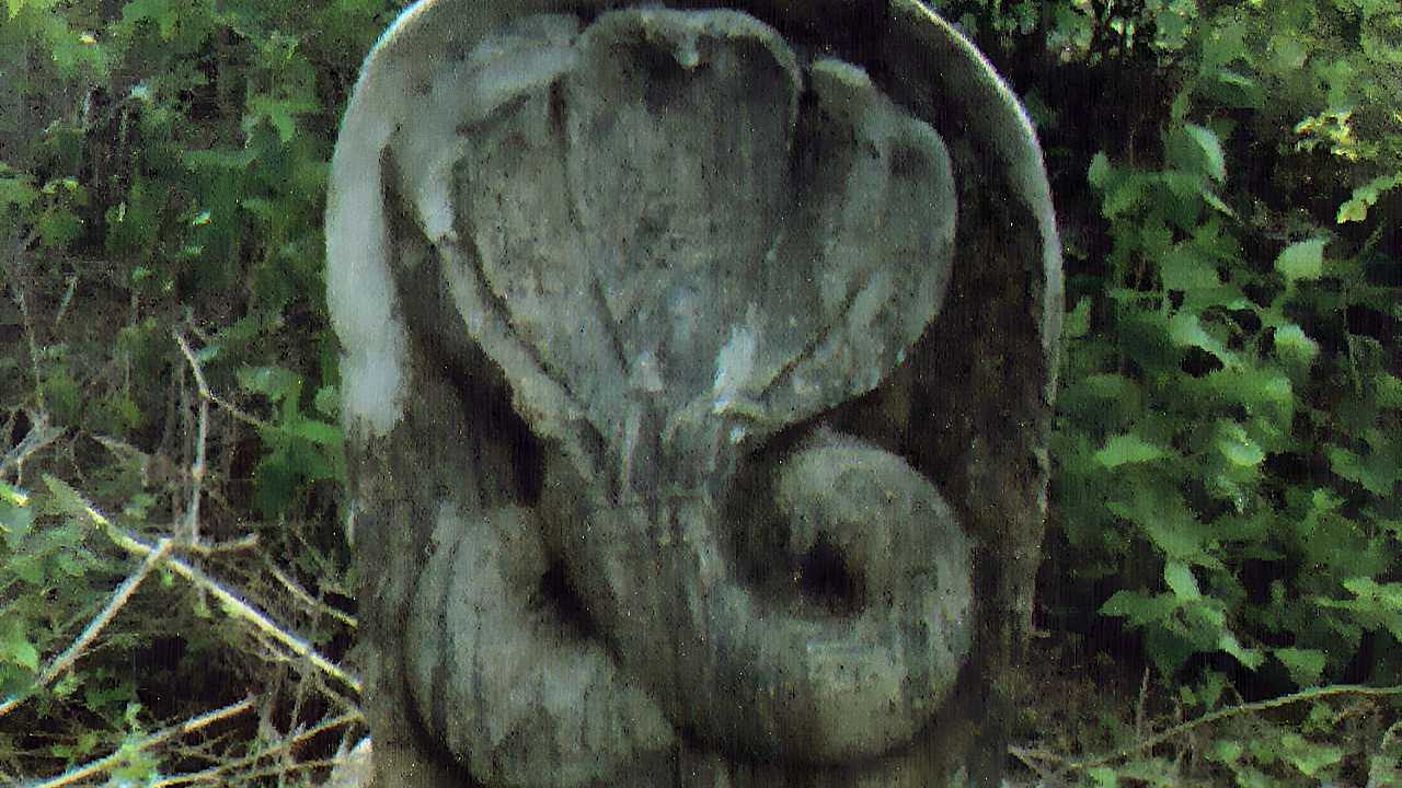Five hooded Cobra found at the Mulativu Tannimuruppukulama Wewa Archaeological Ruins